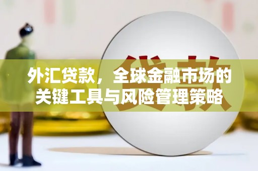 顺城外汇贷款，全球金融市场的关键工具与风险管理策略