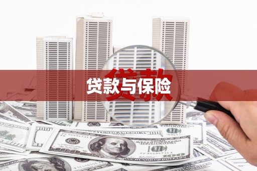 顺城贷款与保险
