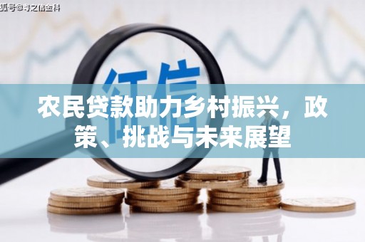 顺城农民贷款助力乡村振兴，政策、挑战与未来展望