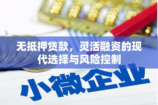 顺城无抵押贷款，灵活融资的现代选择与风险控制