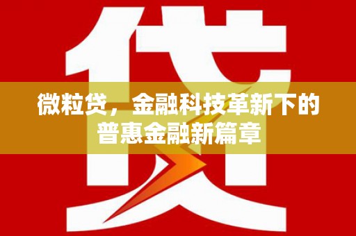 顺城微粒贷，金融科技革新下的普惠金融新篇章