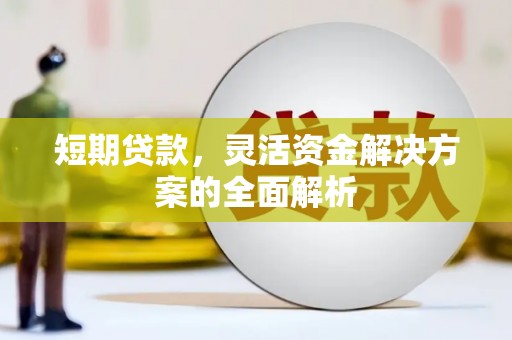 顺城短期贷款，灵活资金解决方案的全面解析