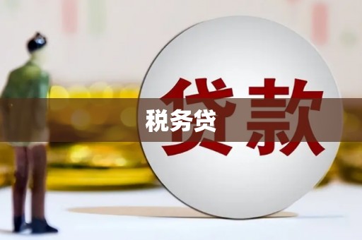 顺城税务贷