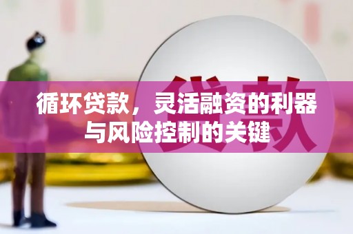 顺城循环贷款，灵活融资的利器与风险控制的关键