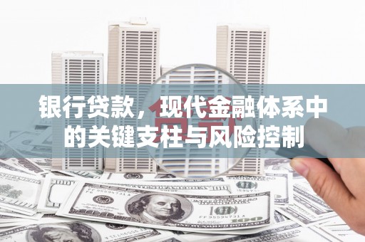 顺城银行贷款，现代金融体系中的关键支柱与风险控制