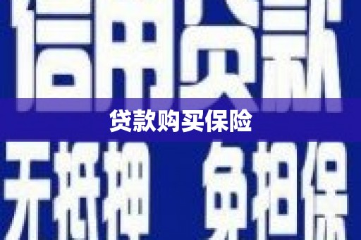 顺城贷款购买保险