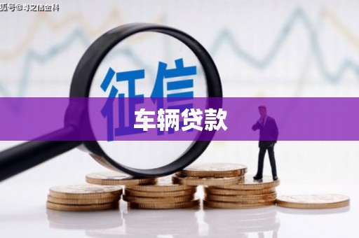 顺城车辆贷款