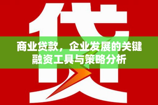 顺城商业贷款，企业发展的关键融资工具与策略分析