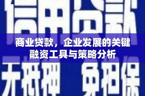 顺城商业贷款，企业发展的关键融资工具与策略分析