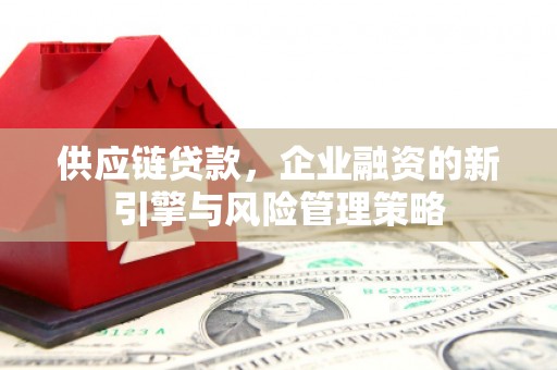 顺城供应链贷款，企业融资的新引擎与风险管理策略