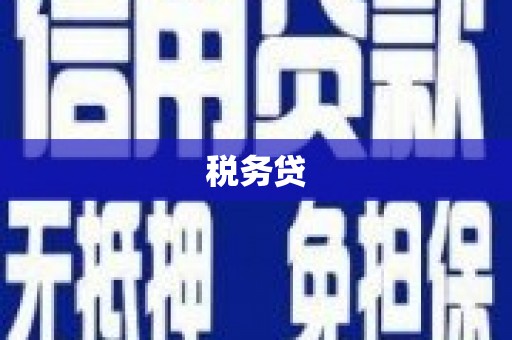 顺城税务贷