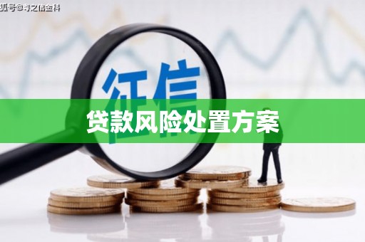 顺城贷款风险处置方案