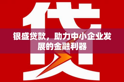 顺城银盛贷款，助力中小企业发展的金融利器