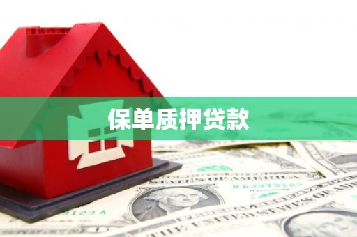 顺城保单质押贷款