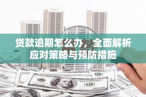 顺城贷款逾期怎么办，全面解析应对策略与预防措施