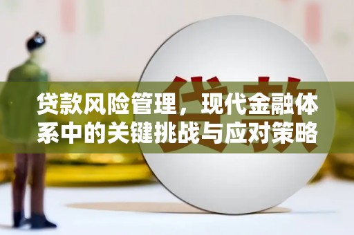 顺城贷款风险管理，现代金融体系中的关键挑战与应对策略