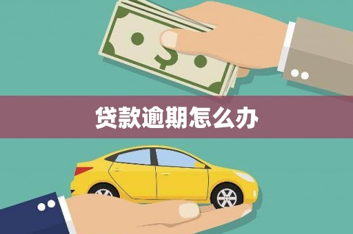 顺城贷款逾期怎么办