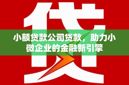 顺城小额贷款公司贷款，助力小微企业的金融新引擎