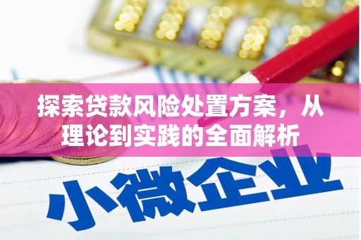 顺城探索贷款风险处置方案，从理论到实践的全面解析