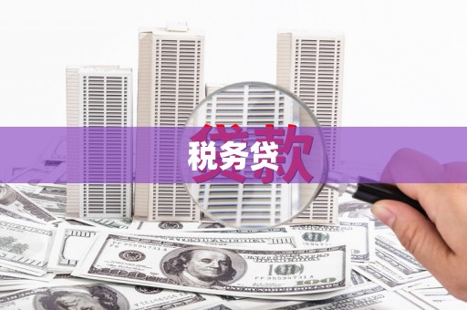 顺城税务贷
