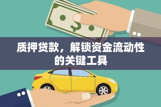 顺城质押贷款，解锁资金流动性的关键工具