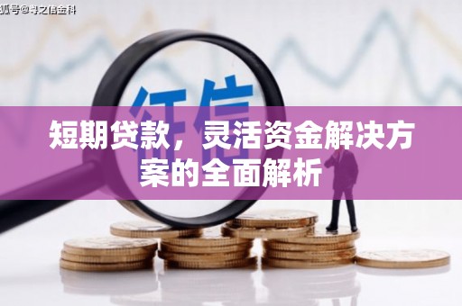 顺城短期贷款，灵活资金解决方案的全面解析