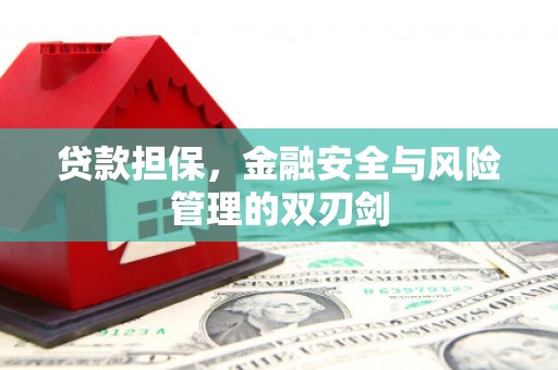 顺城贷款担保，金融安全与风险管理的双刃剑