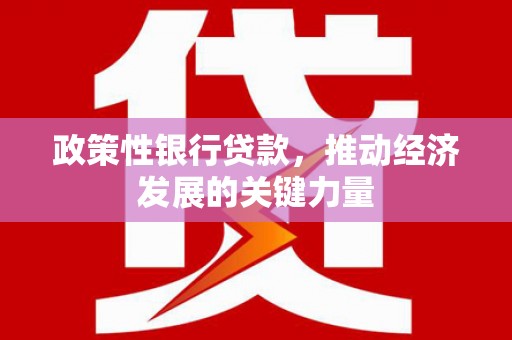 顺城政策性银行贷款，推动经济发展的关键力量