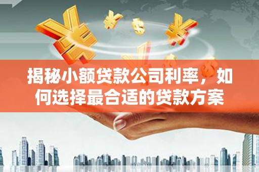 顺城揭秘小额贷款公司利率，如何选择最合适的贷款方案