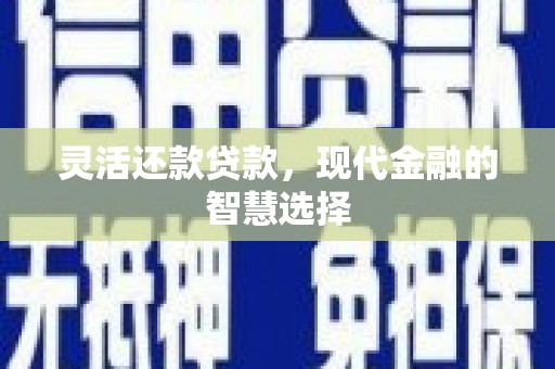 顺城灵活还款贷款，现代金融的智慧选择