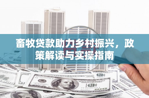 顺城畜牧贷款助力乡村振兴，政策解读与实操指南