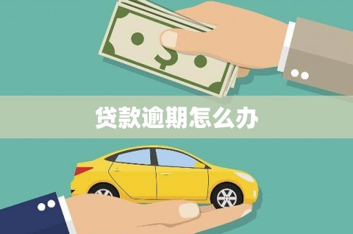 顺城贷款逾期怎么办