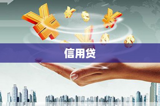 顺城信用贷