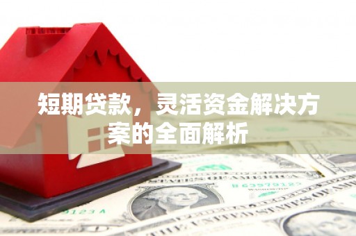 顺城短期贷款，灵活资金解决方案的全面解析