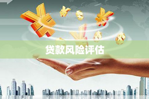 顺城贷款风险评估