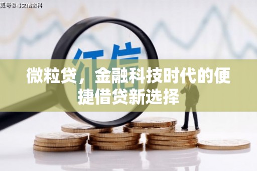 顺城微粒贷，金融科技时代的便捷借贷新选择