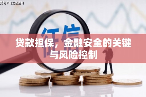 顺城贷款担保，金融安全的关键与风险控制