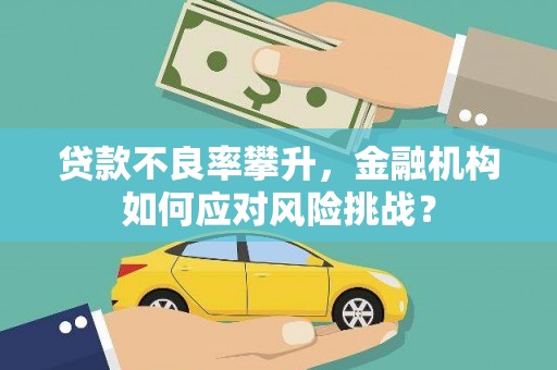 顺城贷款不良率攀升，金融机构如何应对风险挑战？