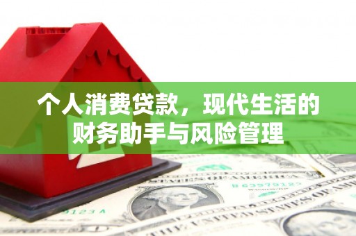 顺城个人消费贷款，现代生活的财务助手与风险管理