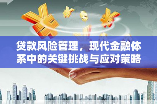 顺城贷款风险管理，现代金融体系中的关键挑战与应对策略