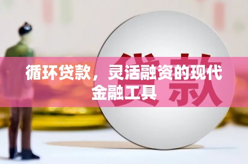 顺城循环贷款，灵活融资的现代金融工具
