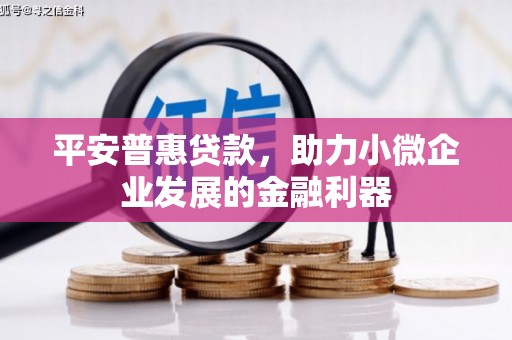 顺城平安普惠贷款，助力小微企业发展的金融利器