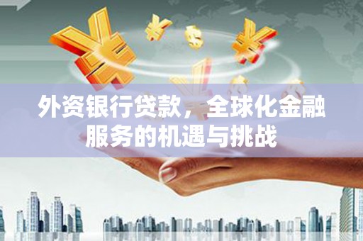 顺城外资银行贷款，全球化金融服务的机遇与挑战