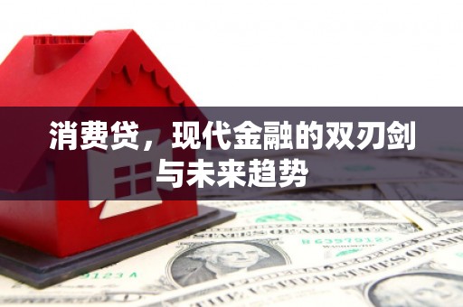 顺城消费贷，现代金融的双刃剑与未来趋势