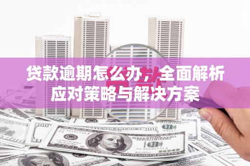顺城贷款逾期怎么办，全面解析应对策略与解决方案