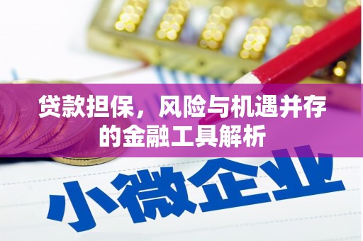 顺城贷款担保，风险与机遇并存的金融工具解析