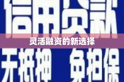 顺城灵活融资的新选择