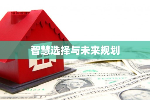 顺城智慧选择与未来规划