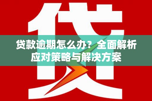 顺城贷款逾期怎么办？全面解析应对策略与解决方案
