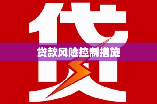 顺城贷款风险控制措施